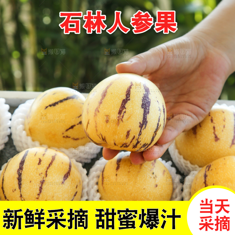 手里拿着一箱石林人参果