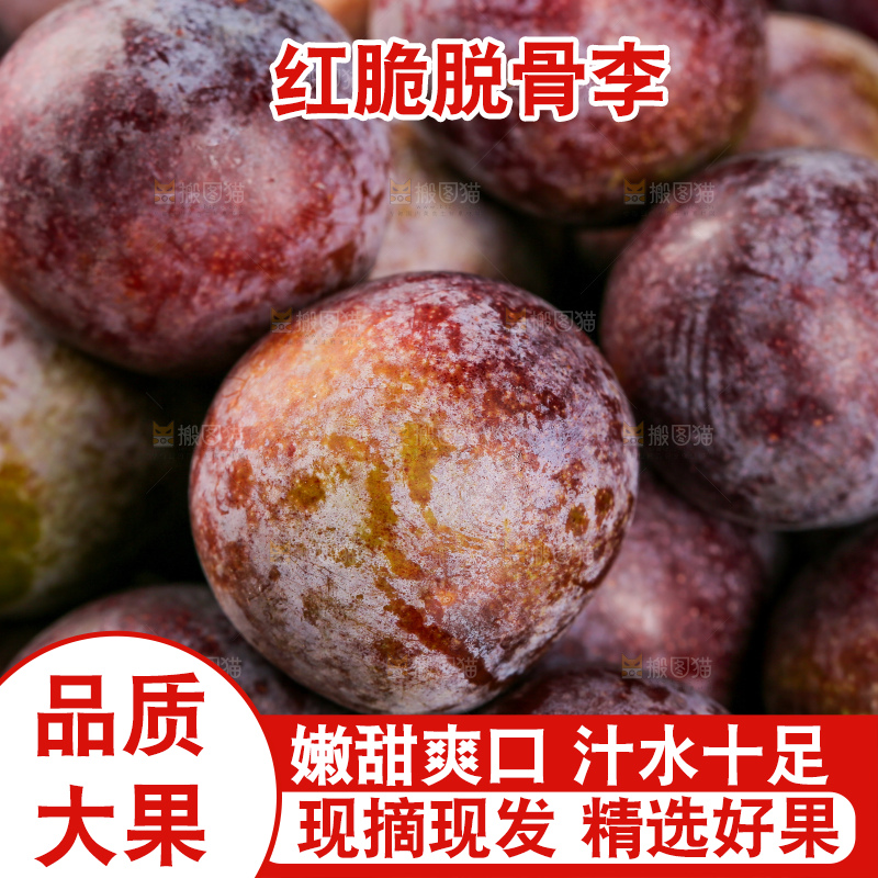 木底上的红脆李
