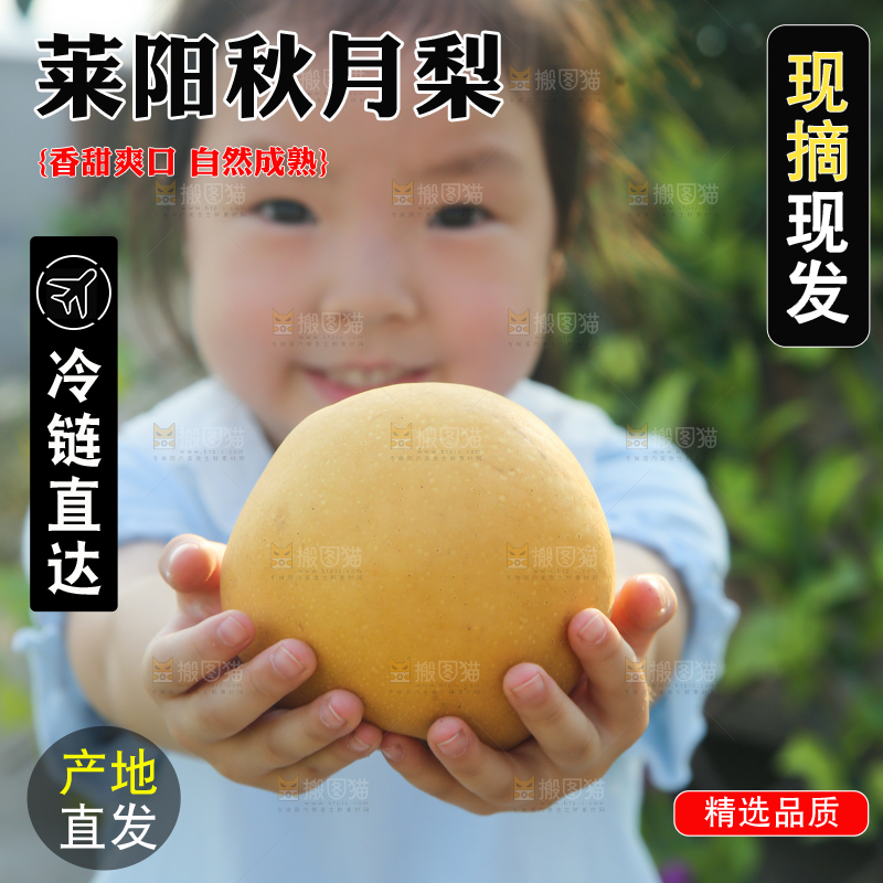 手里拿着秋月梨