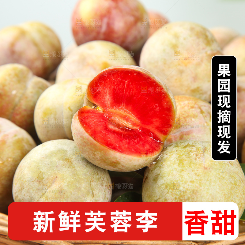 浅底上的芙蓉李