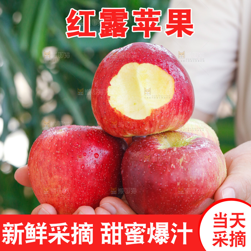 手里拿着红露苹果