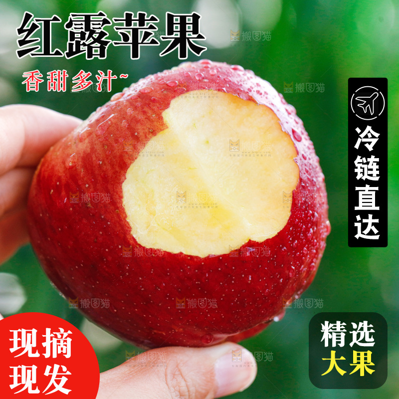 手里拿着红露苹果