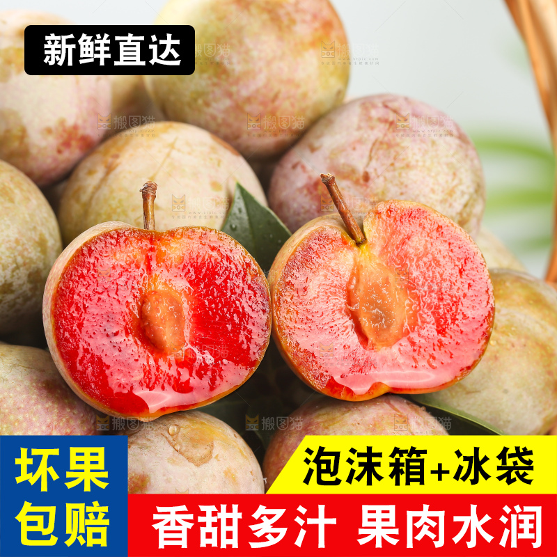 浅底上的芙蓉李