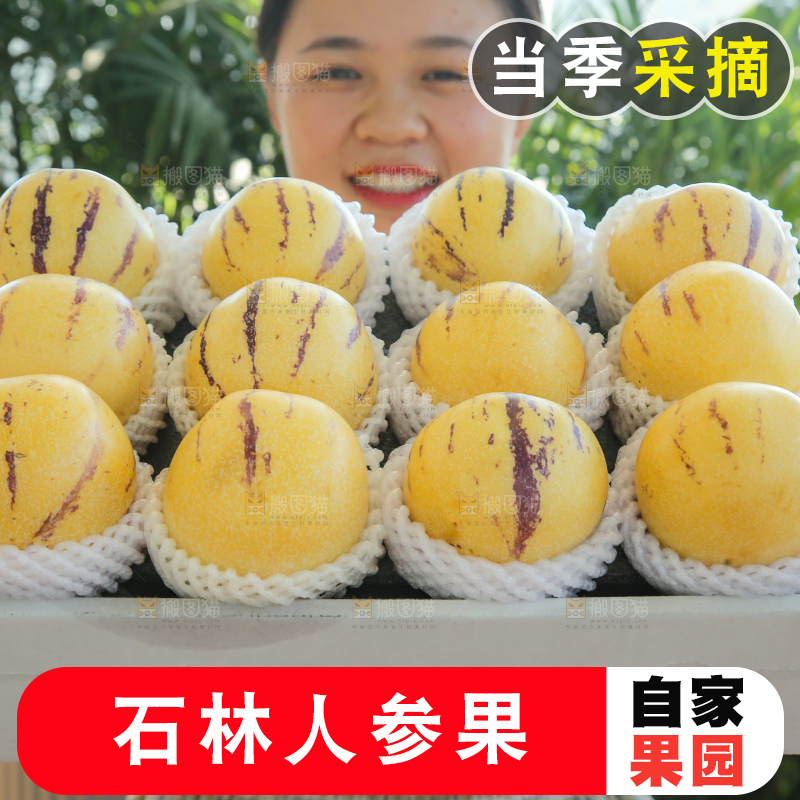 手里拿着一箱石林人参果