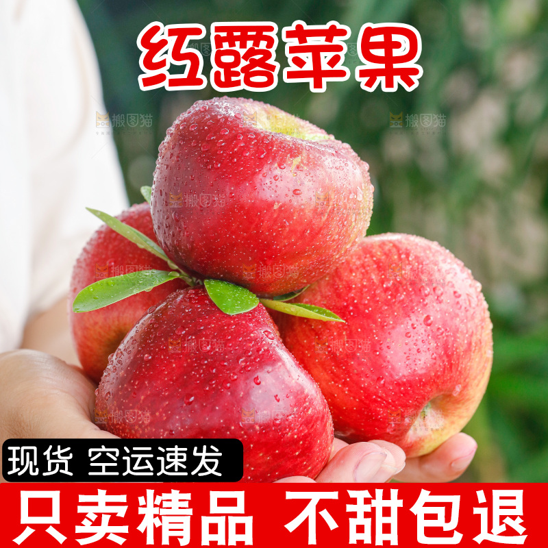 手里拿着红露苹果
