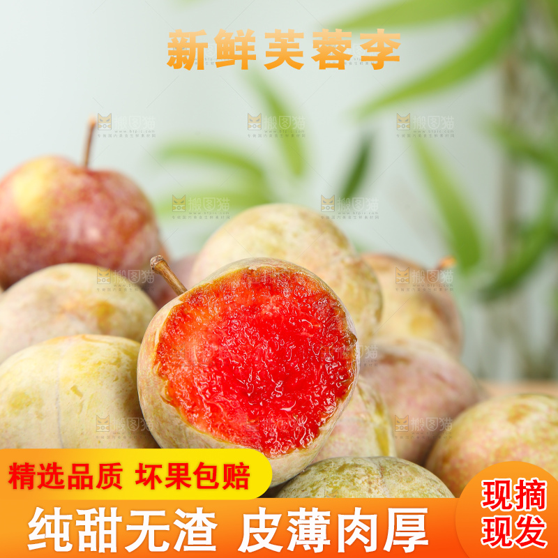 浅底上的芙蓉李
