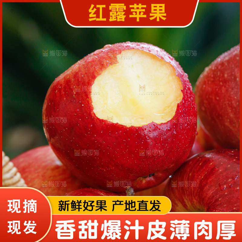 手里拿着红露苹果