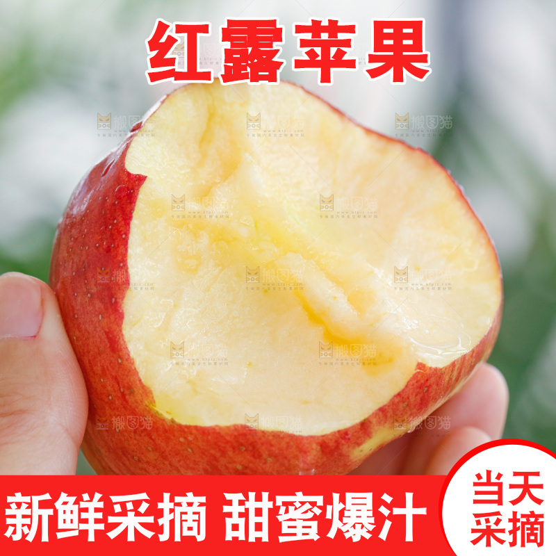 手里拿着红露苹果