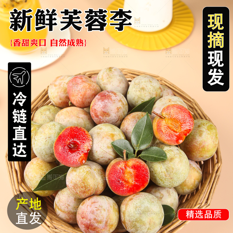 浅底上的芙蓉李