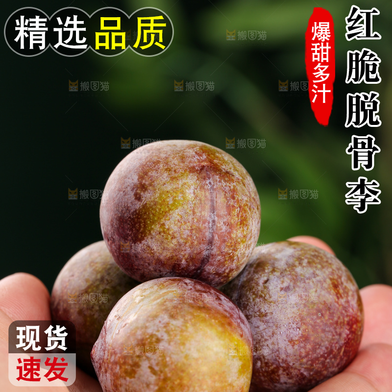 木底上的红脆李