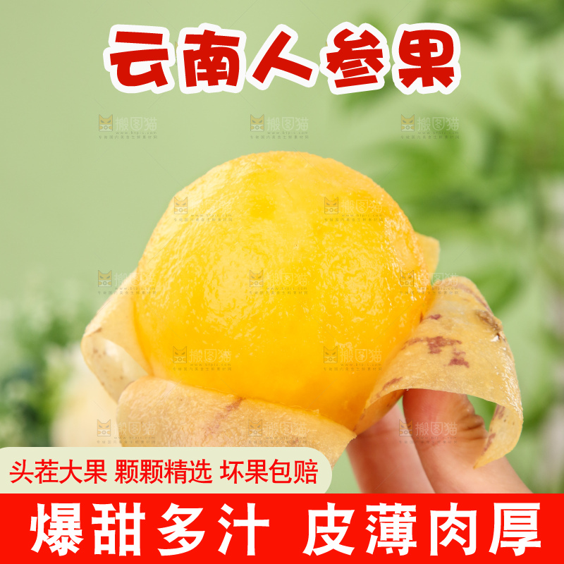 手里拿着石林人参果