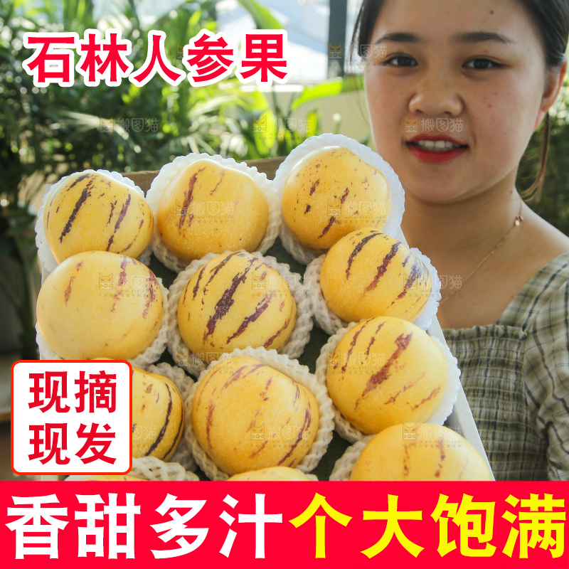 手里拿着一箱石林人参果