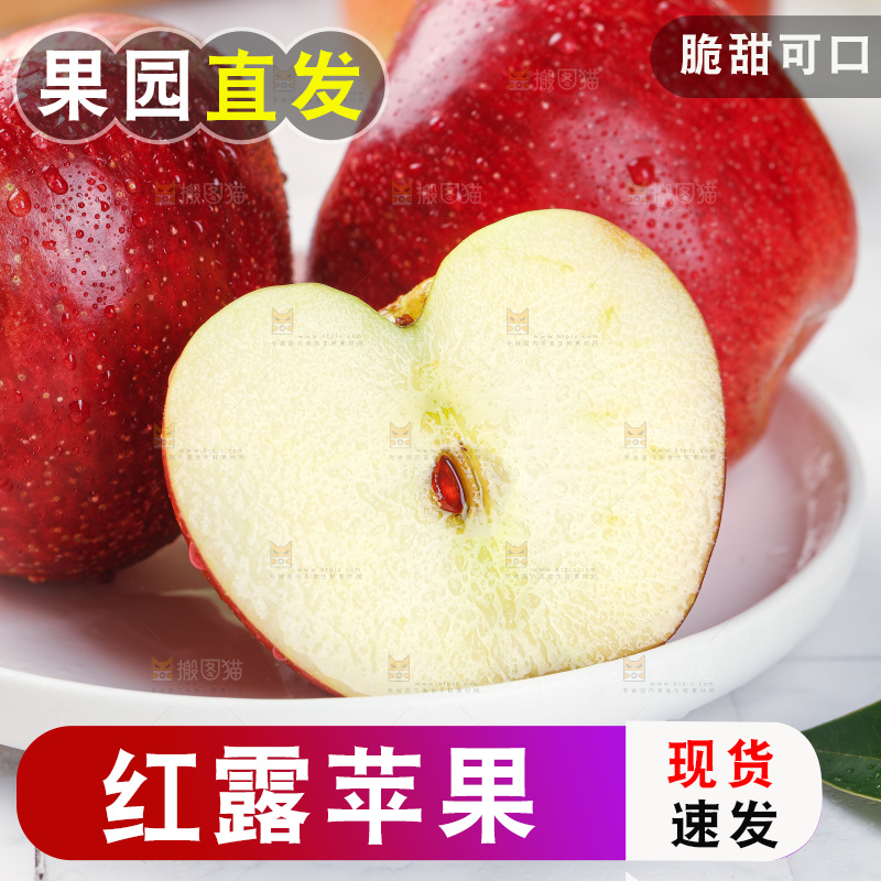 浅底上的红露苹果