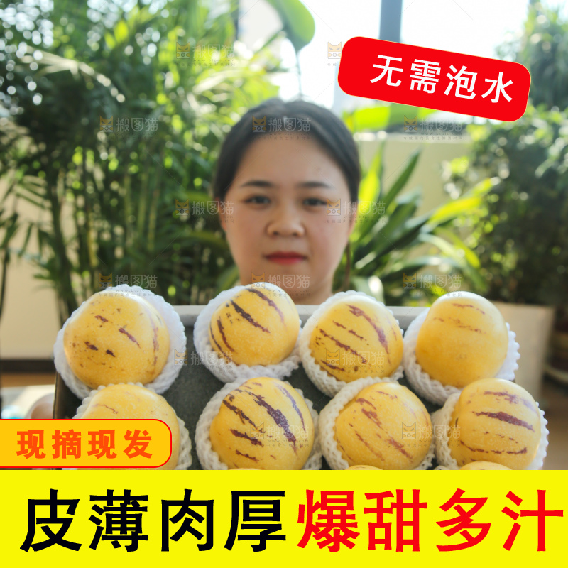 手里拿着一箱石林人参果