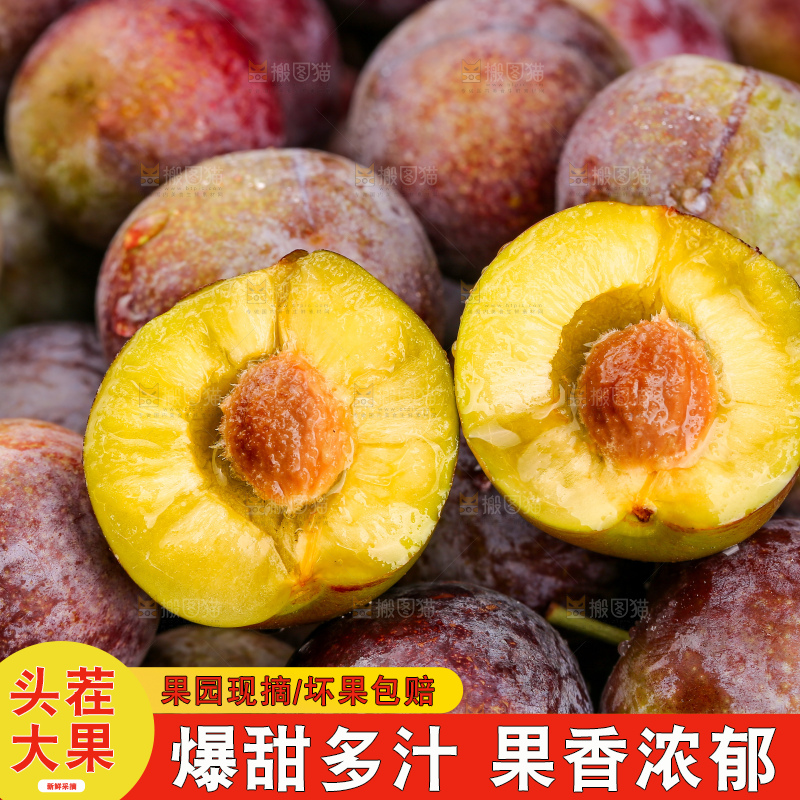 木底上的红脆李