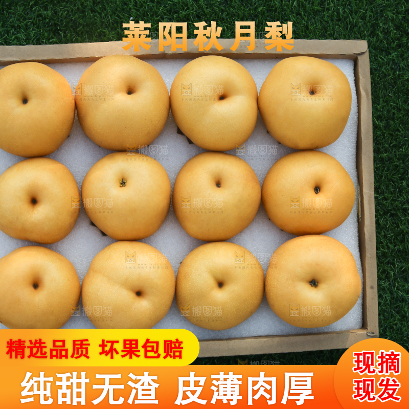 深底上的一盒秋月梨