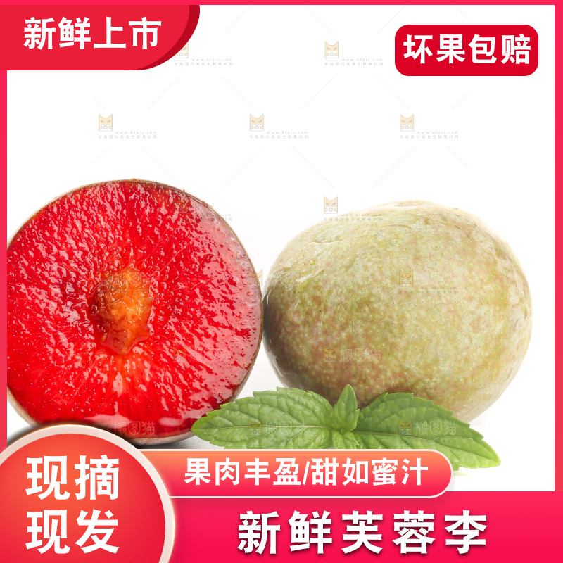 白底上的芙蓉李