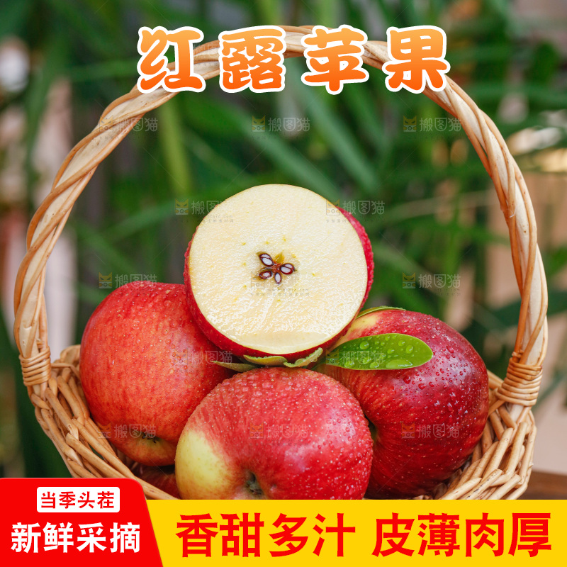 手里拿着红露苹果