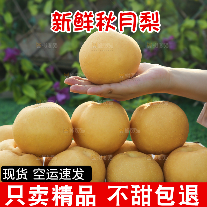 深底上的一盒秋月梨