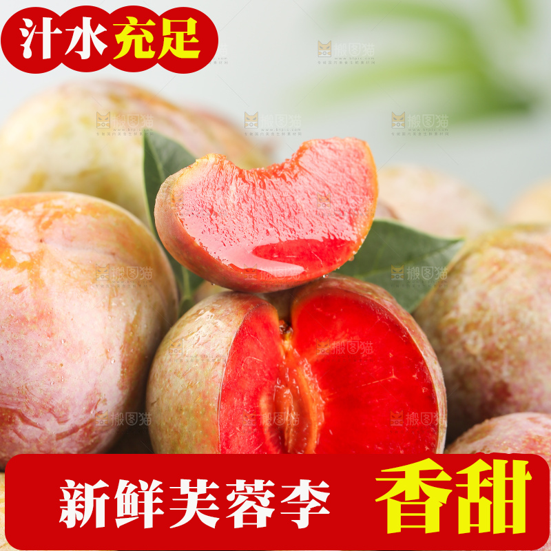 浅底上的芙蓉李