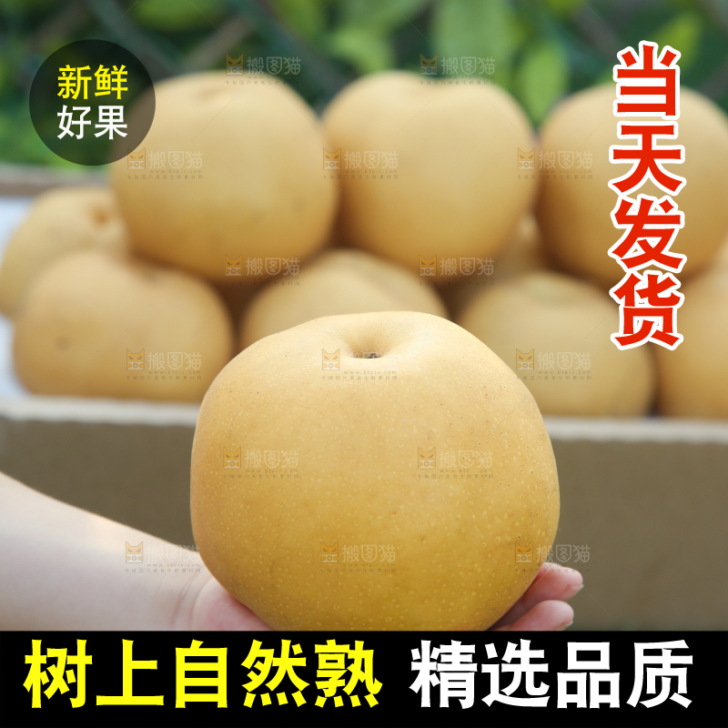 深底上的一盒秋月梨