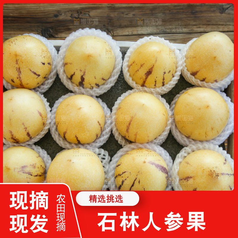 木底上的石林人参果