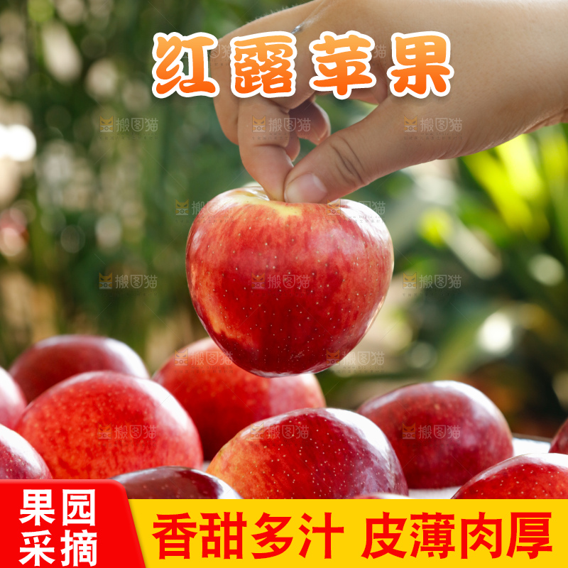 手里拿着红露苹果