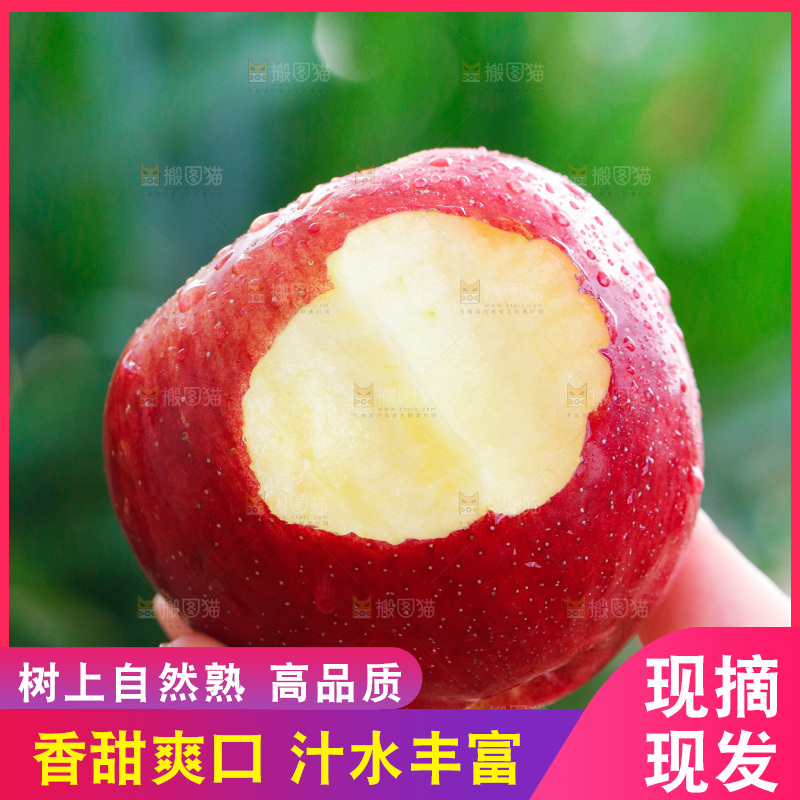 手里拿着红露苹果