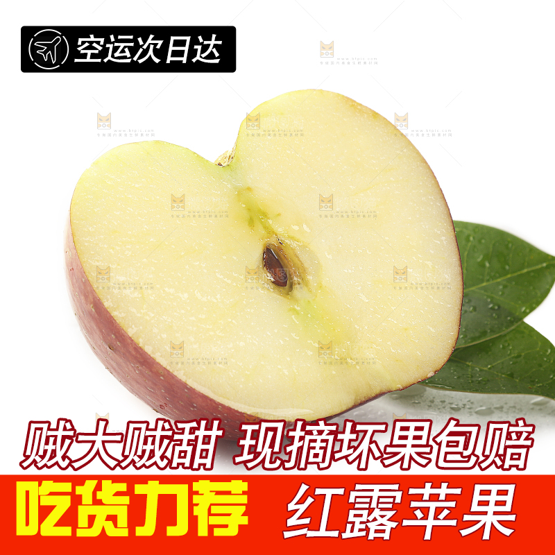白底上的红露苹果