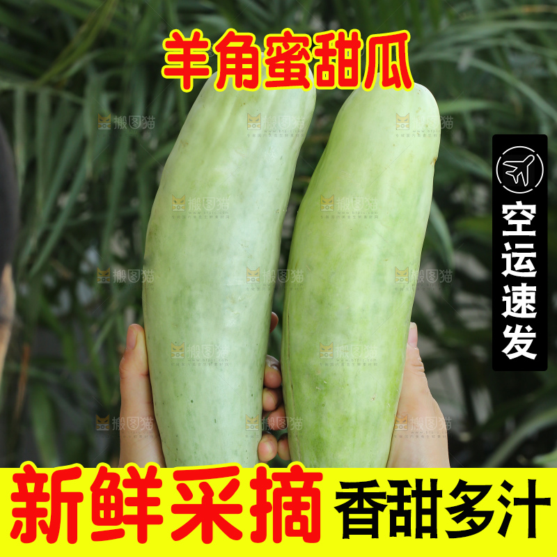 手里拿着羊角蜜甜瓜