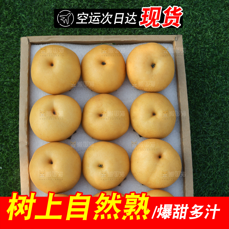 深底上的一盒秋月梨