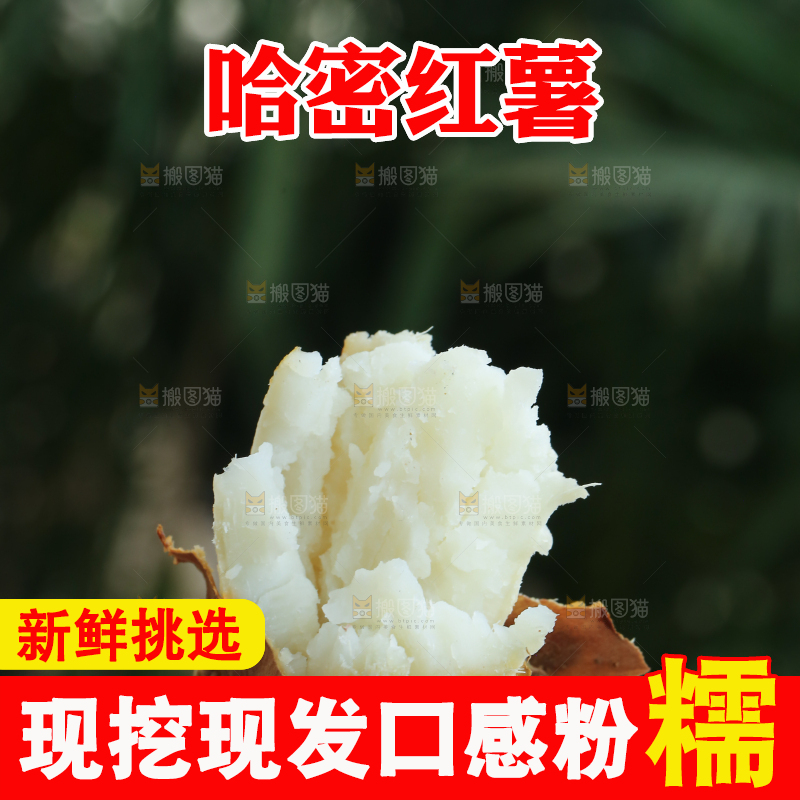 手里拿着白心冰糖薯