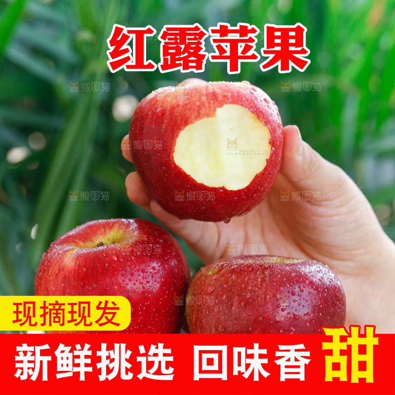 手里拿着红露苹果
