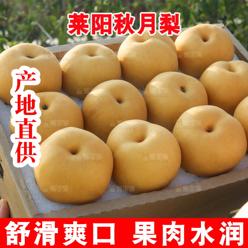 深底上的一盒秋月梨