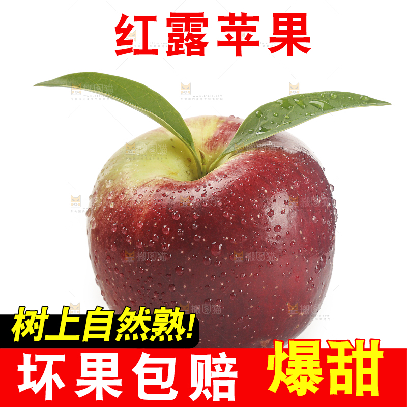 白底上的红露苹果