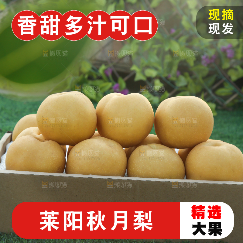 深底上的一盒秋月梨