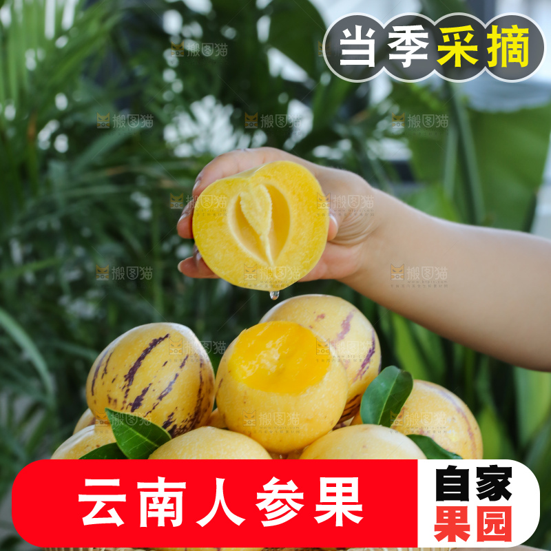 手里拿着石林人参果