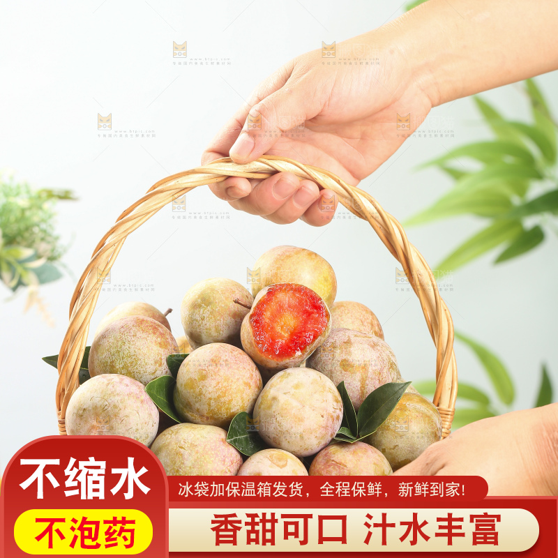 浅底上的芙蓉李