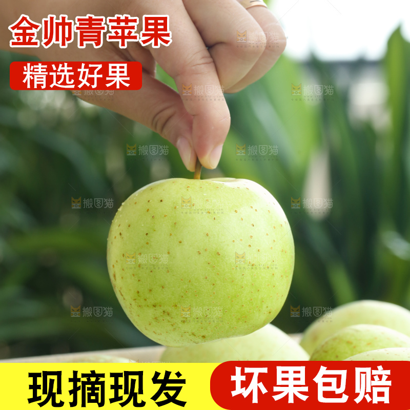手里拿着金帅青苹果