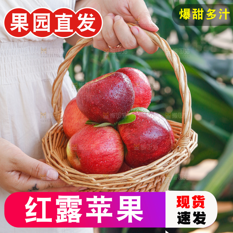 手里拿着红露苹果