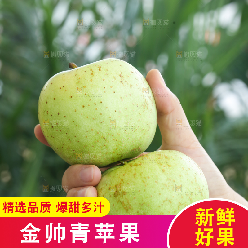 手里拿着金帅青苹果