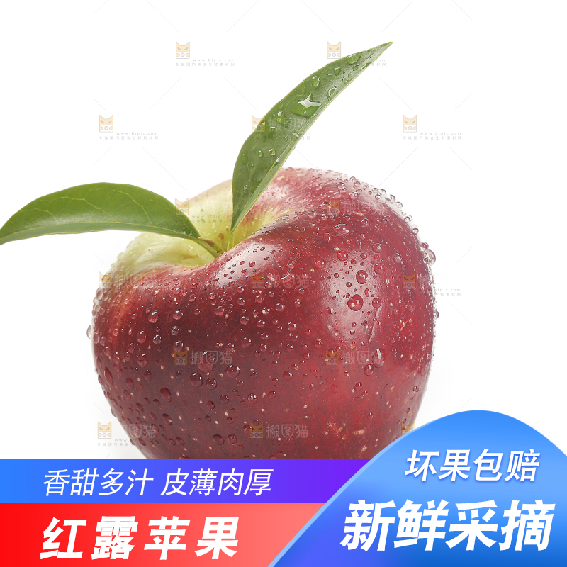 白底上的红露苹果