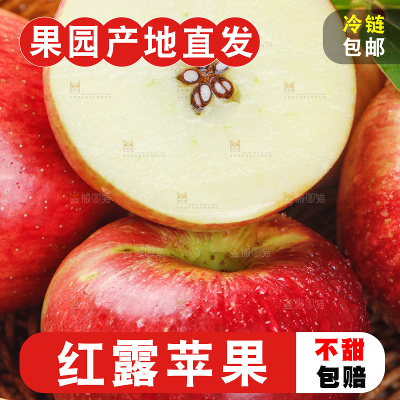 浅底上的红露苹果