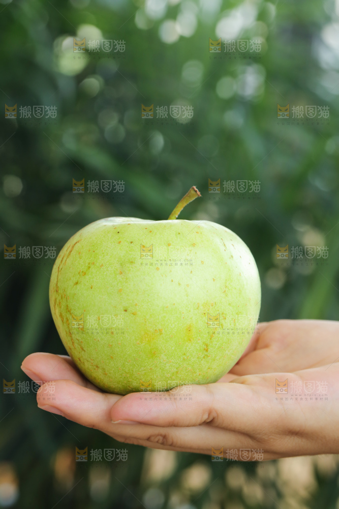 手里拿着金帅青苹果