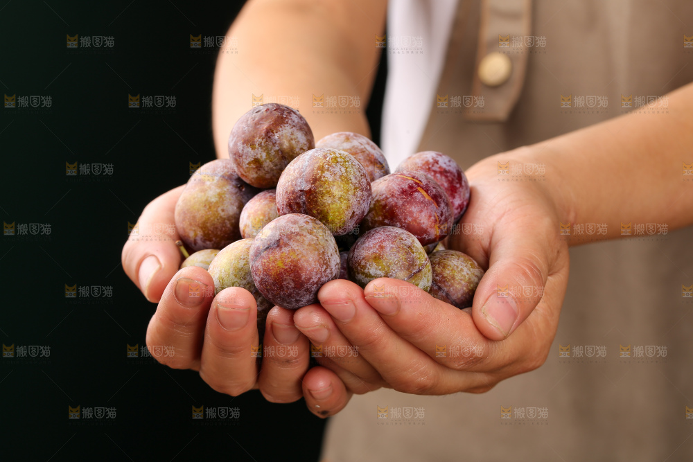 木底上的红脆李