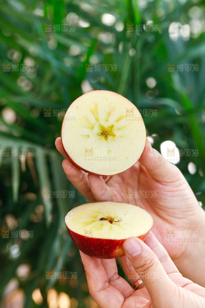 手里拿着红露苹果