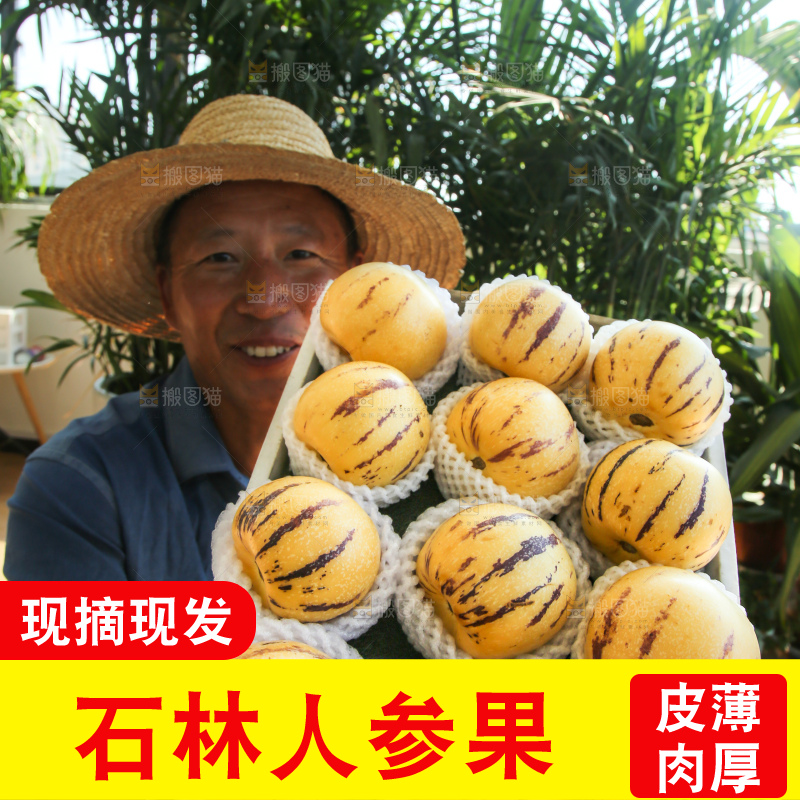 手里拿着一箱石林人参果