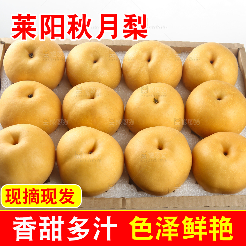 浅底上的一盒秋月梨