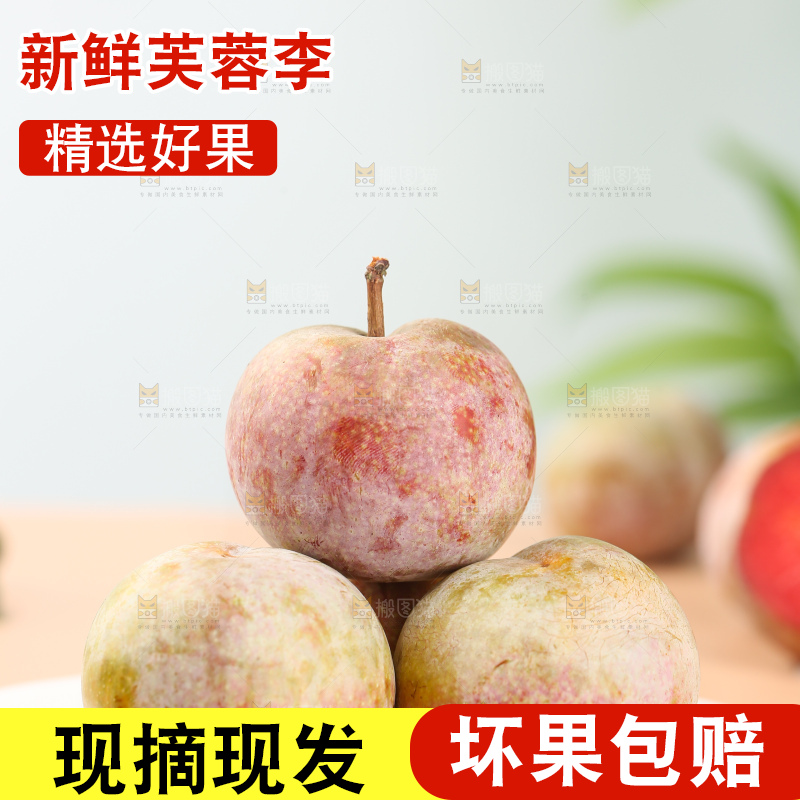 浅底上的芙蓉李