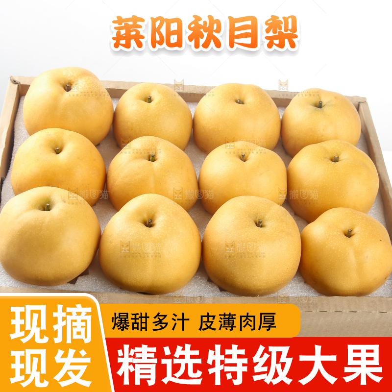 浅底上的一盒秋月梨